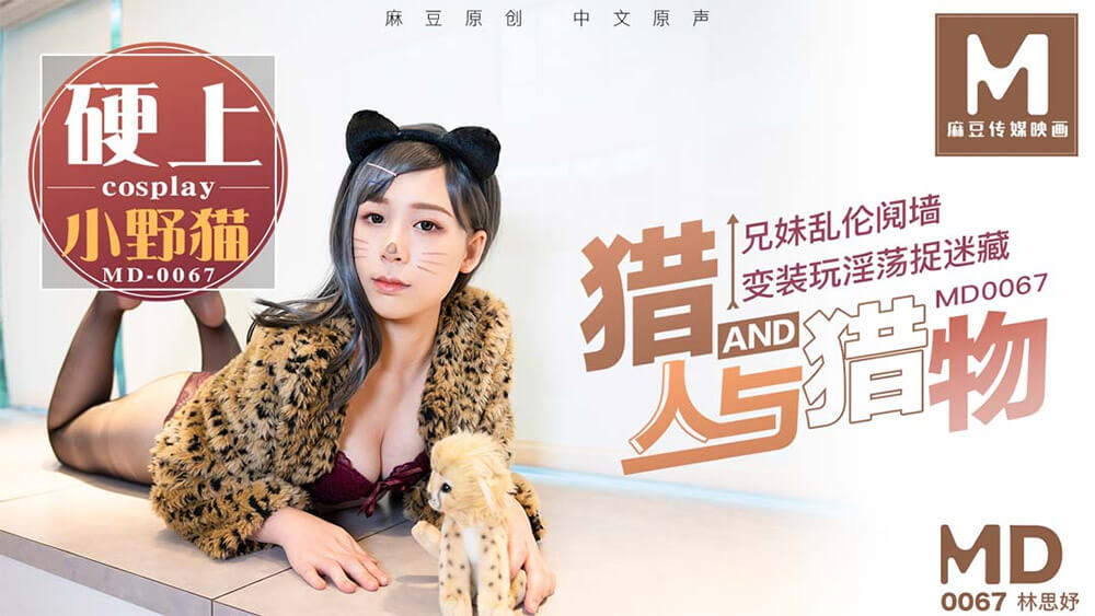 硬上小野猫